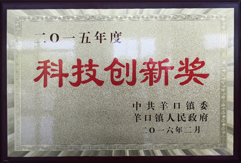 Science and Technology Innovation Award