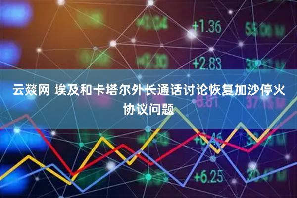 云燚网 埃及和卡塔尔外长通话讨论恢复加沙停火协议问题